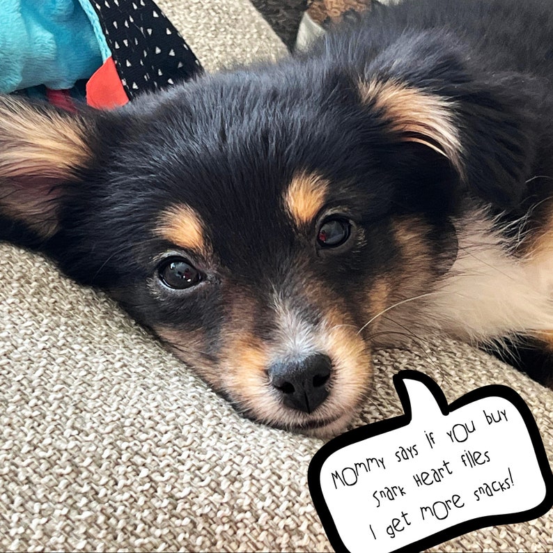 May include: A black and brown puppy with big brown eyes lays on a beige couch. A speech bubble above the puppy says "Mommy says if YOU buy Shark Heart files I get MORE snacks!"