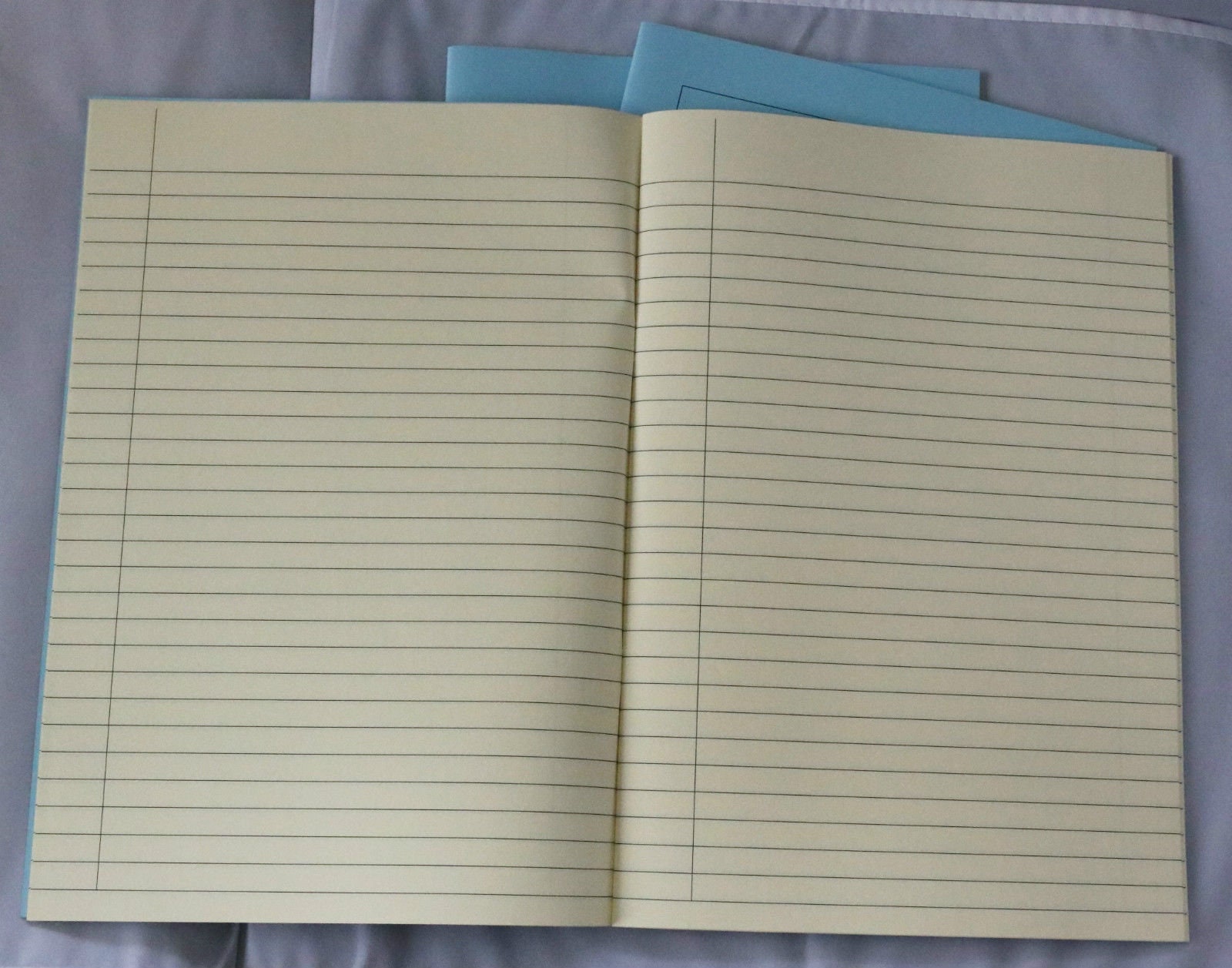 A4 Tinted Paper Exercise Books X3 Ideal for Dyslexia SEN Lined Etsy