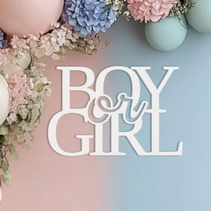 Banner per la rivelazione del sesso del bambino o della bambina, decorazioni per lo sfondo, cartello in legno per feste a tema "lui o lei", idee per l'annuncio di una nascita, decorazioni per photo booth