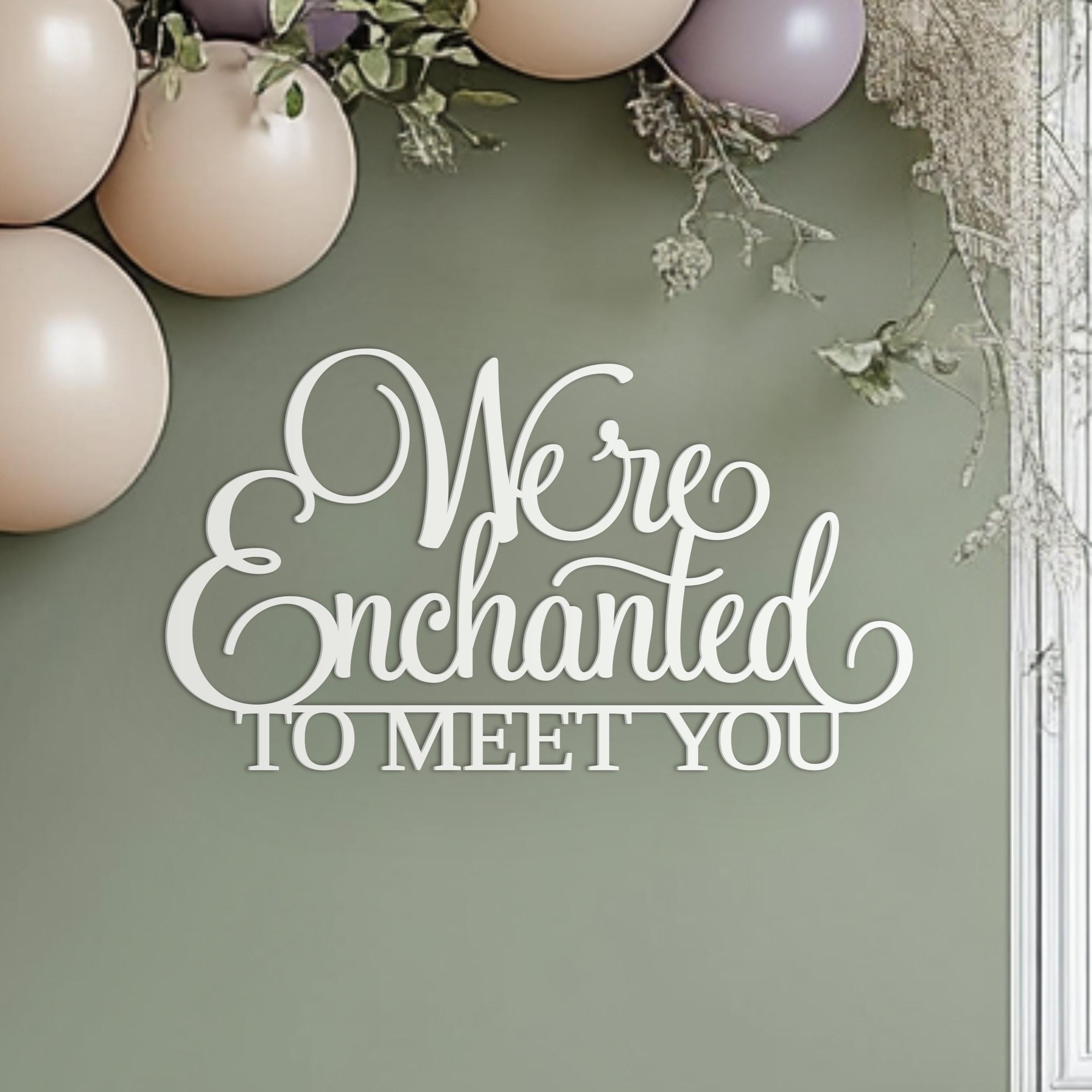 We're Enchanted to meet you Sign for Baby Shower backdrop wall decorations, 3D wooden banner decor for boy or girl photo booth centerpiece