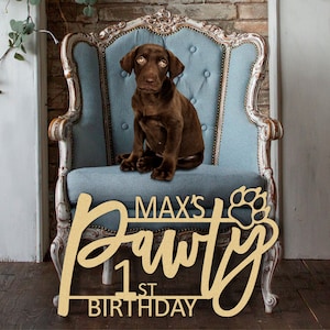Dog Party Decorations, Dog Birthday Banner, Pawty Sign, Puppy Party Decorations, Birthday Sign for Dog, Dog Party Sign, Pawty Banner