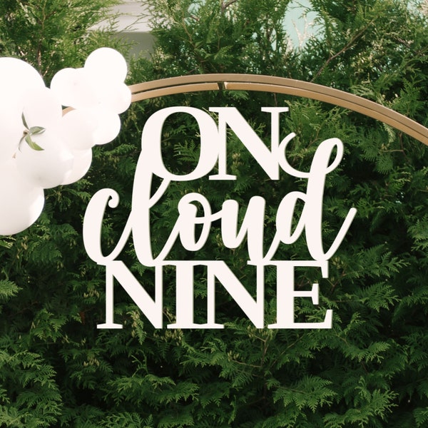 On cloud nine sign, On cloud 9 decorations, Cloud nine baby shower decor, We are on cloud 9 backdrop sign, We're On Cloud Nine Banner