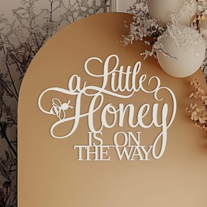 Cartello "A Little Honey is on coming" per decorazioni murali con sfondo per baby shower, grande striscione in legno con tema ape per cabine fotografiche per bambini o bambine.