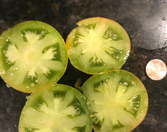 Amy’s Ohio dwarf tomato