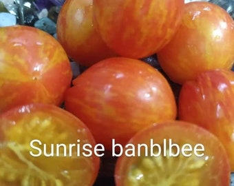 Sunrise bumblebee tomato seeds