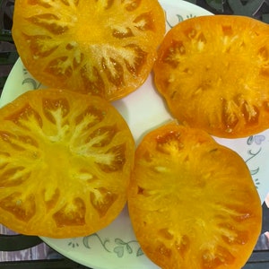 Dwarf Summertime gold tomato seeds