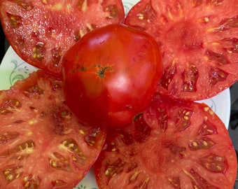 May include: Five red tomato slices arranged in a flower shape on a white plate with green floral designs. The tomatoes are sliced in half and show the seeds and flesh.
