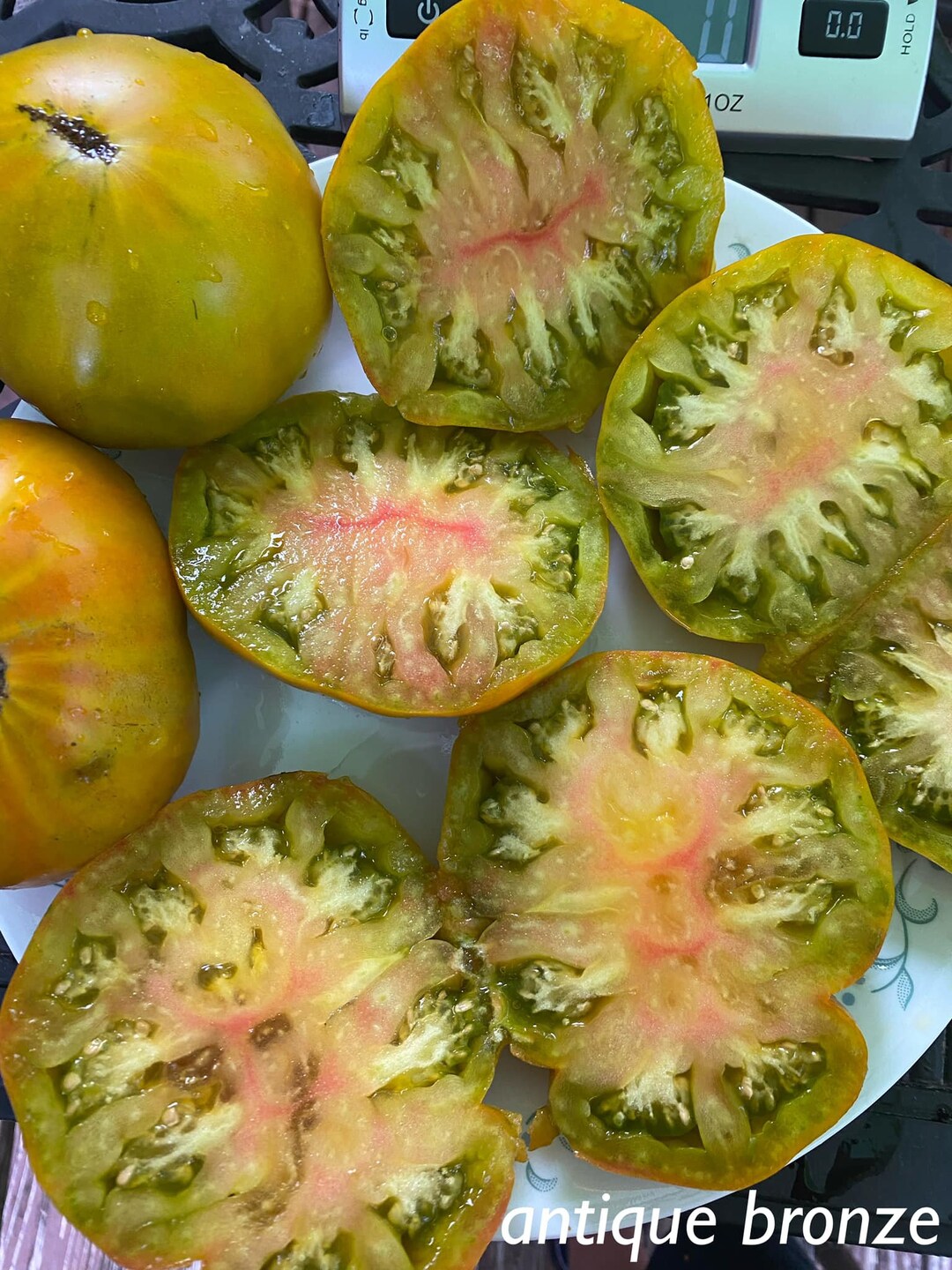 Antique Bronze Tomato Seeds Etsy