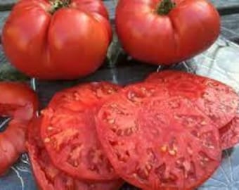 Dwarf Zoe’s Sweet tomatoes