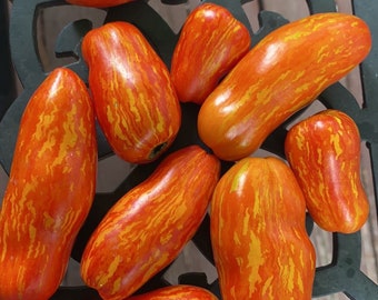 May include: A collection of ripe, oblong tomatoes with vibrant red and yellow striped patterns. The tomatoes are arranged on a dark, textured surface, showcasing their fresh, natural appearance. These tomatoes are a colorful addition to any garden.