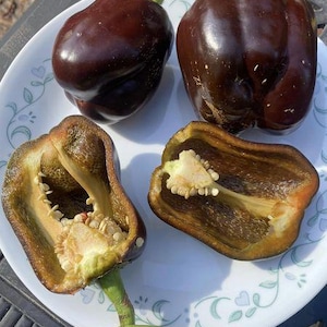 Chocolate cake sweet pepper seeds