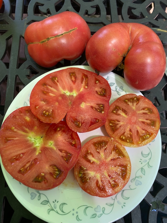 Ivuntian Giant Tomato, Heirloom Kazakhstan - Etsy