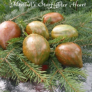 Marsha&#39;s Rebel Starfighter heart tomato seeds