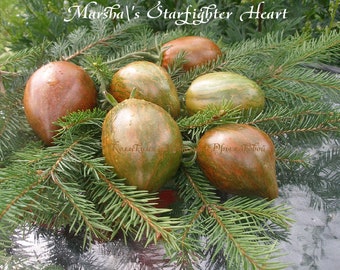 Marsha's Rebel Starfighter heart tomato seeds