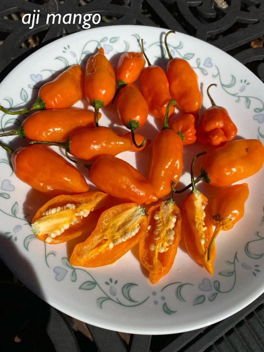 Aji Mango Pepper Seeds - Etsy