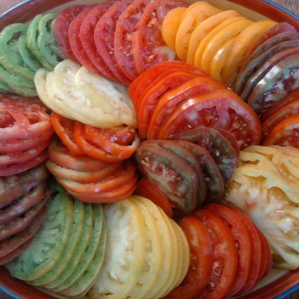 Mix van Heirloom-tomaten, 400 soorten ;-)