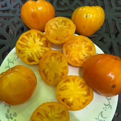 Kozula 100 Tomatoes Seeds - Etsy
