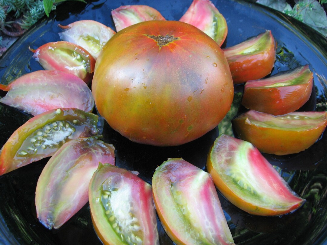 Copper Pipe Tomatoes Seeds Etsy