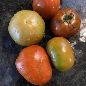 Brown sugar tomato seeds