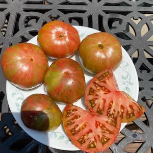 Berkeley Tie Dye tomato seeds