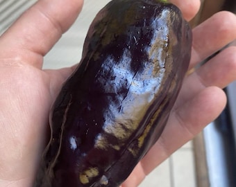 Black Hungarian semisweet pepper seeds