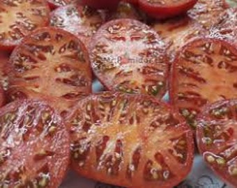 Dwarf Purple Reign tomatoes seeds