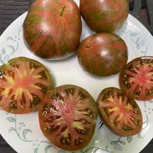 Tomate Samen der russischen Kosaken