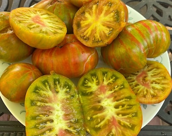 Kozula 224 tomatoes seeds