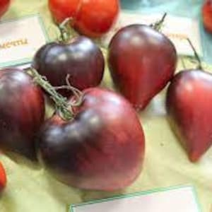 Sgt.Strawberry Pepper tomatoes seeds