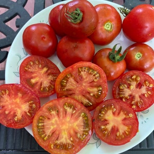 Dwarf Franklin county tomatoes seeds