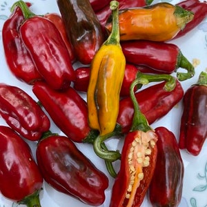 Fish pepper seeds