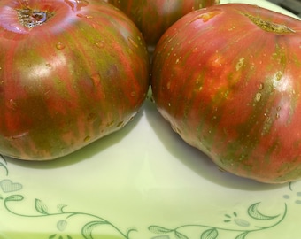 Kozula 24 Tomato Seeds - Etsy