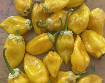 ベキーニョ ヴェルメーリョ 赤唐辛子の種 - Etsy 日本