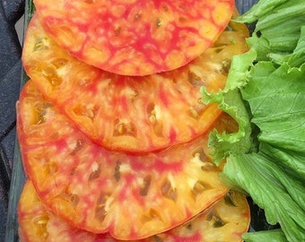 Hillbilly tomatoes seeds