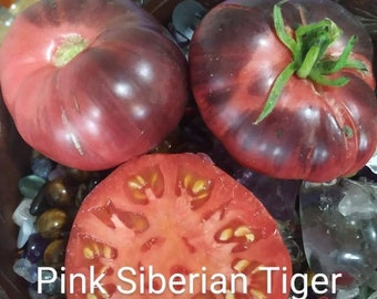Pink Siberian tiger tomato seeds