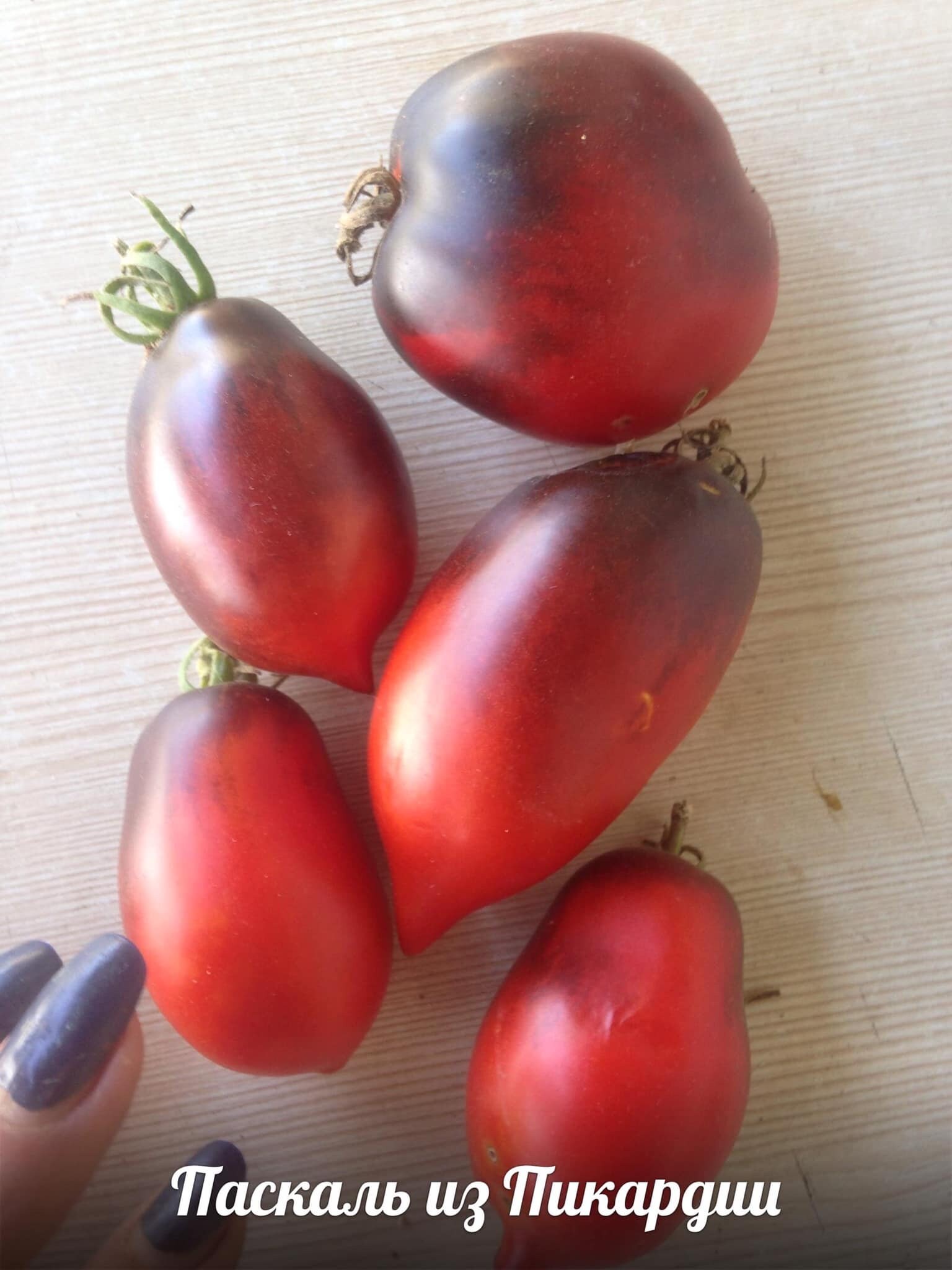 seedless tomato plants seeds Tomato Seeds - Indeterminate