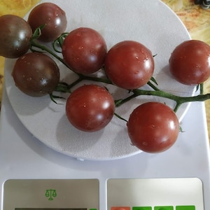 May include: A digital kitchen scale with a white platform and a digital display showing 108 grams. The scale has buttons for tare, unit, and on/off. A cluster of small, dark red tomatoes are on the scale platform.
