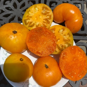 Carolina Gold tomatoes seeds