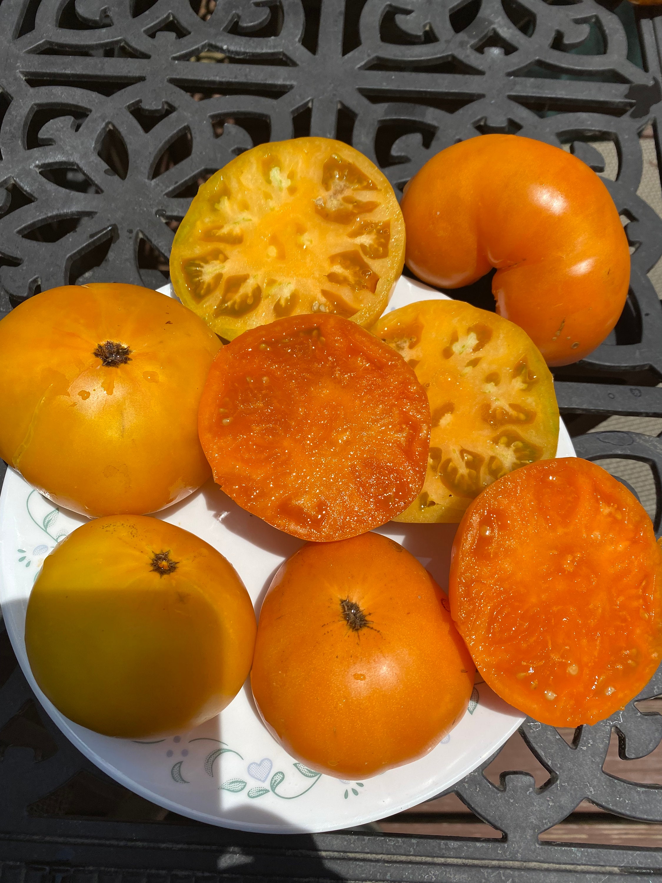 Pomodoro Biologico SUNGOLD F1 Ibrido 12 Semi Resistente Alla - Foto 4