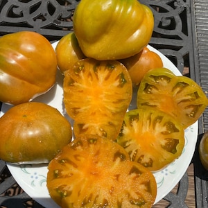 Dwarf Ochre heart tomato