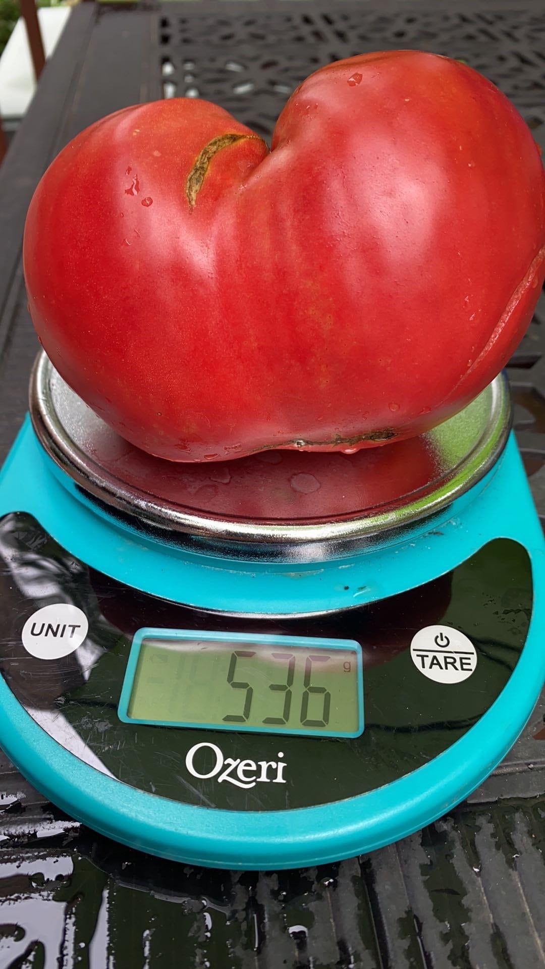 Hungarian Heart Tomato Seeds Etsy