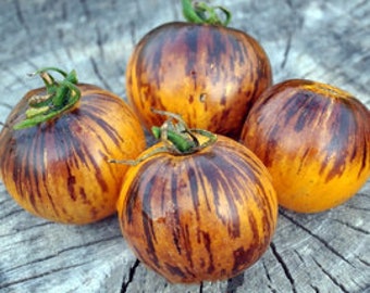 Ussuri tiger tomato seeds