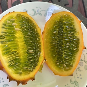 Kiwano seeds