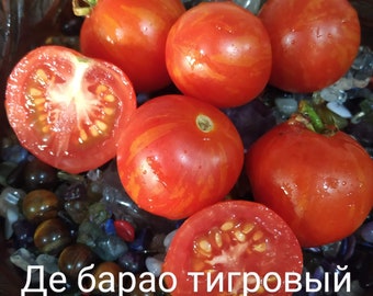 De Barao tiger tomato seeds