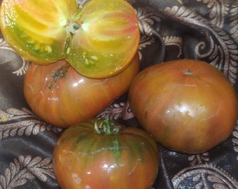 Seven rivers tricolor tomato seeds