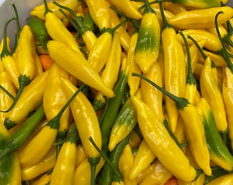 Aji pineapple pepper seeds