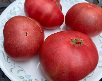 Semillas de tomate carmesí Rosella enana