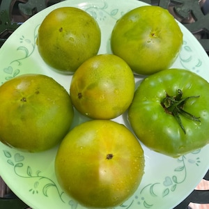 Dwarf Jade beauty tomato seeds