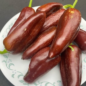 Brown Jalapeno pepper seeds