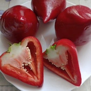 Lesya sweet pepper